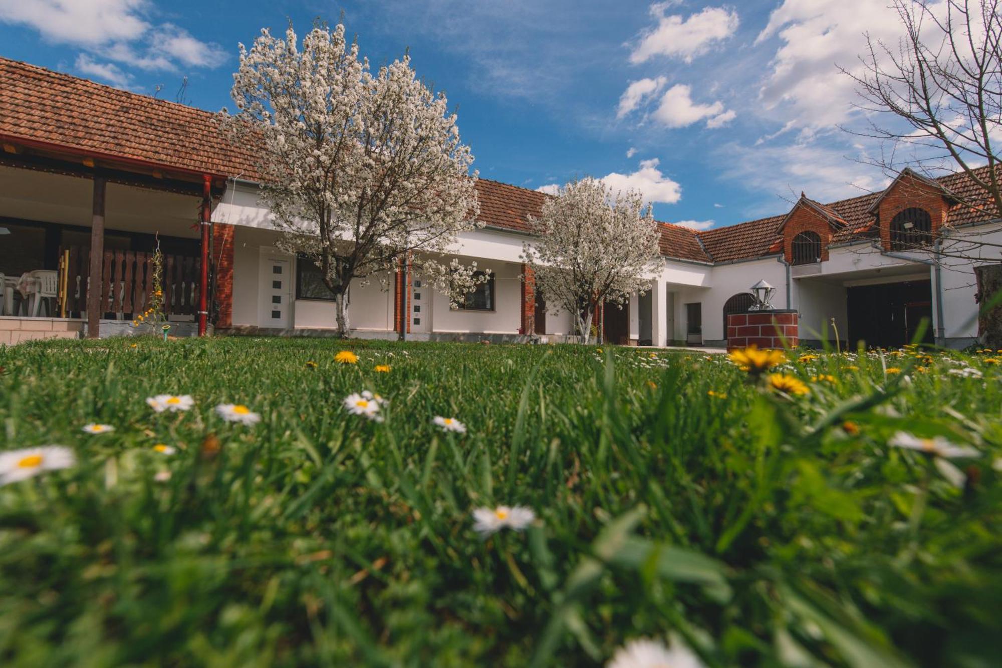 Apartman Marta I Soba Maja Gradiste 외부 사진