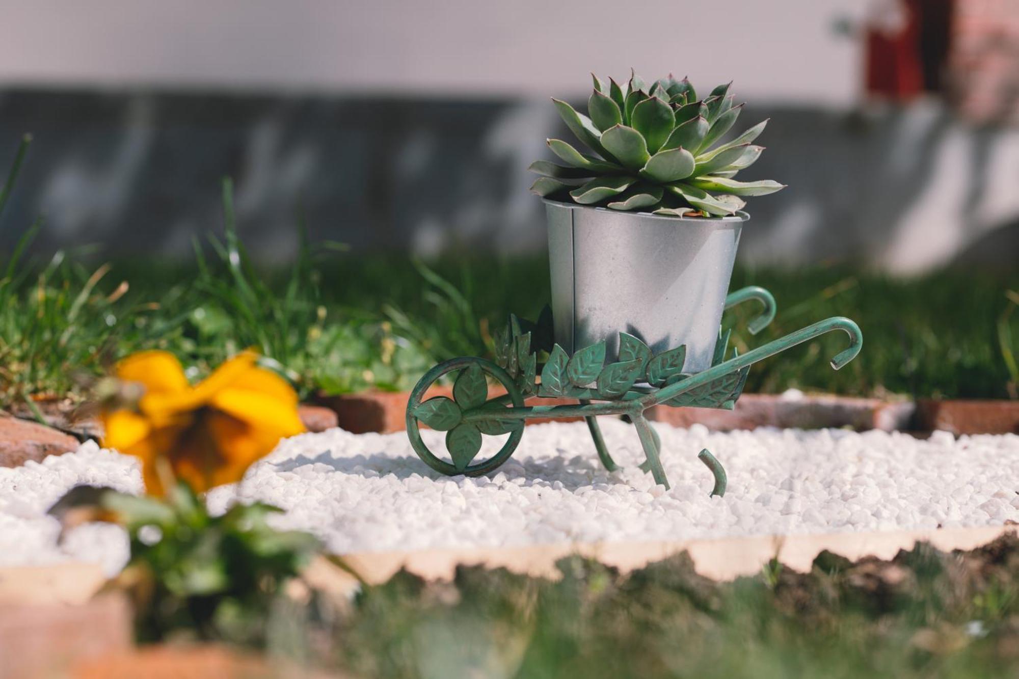 Apartman Marta I Soba Maja Gradiste 외부 사진
