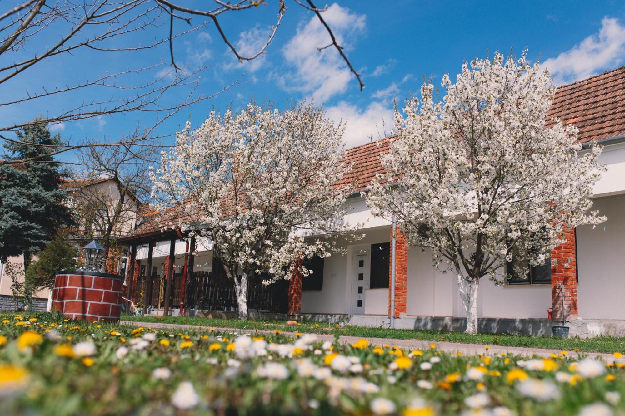 Apartman Marta I Soba Maja Gradiste 외부 사진