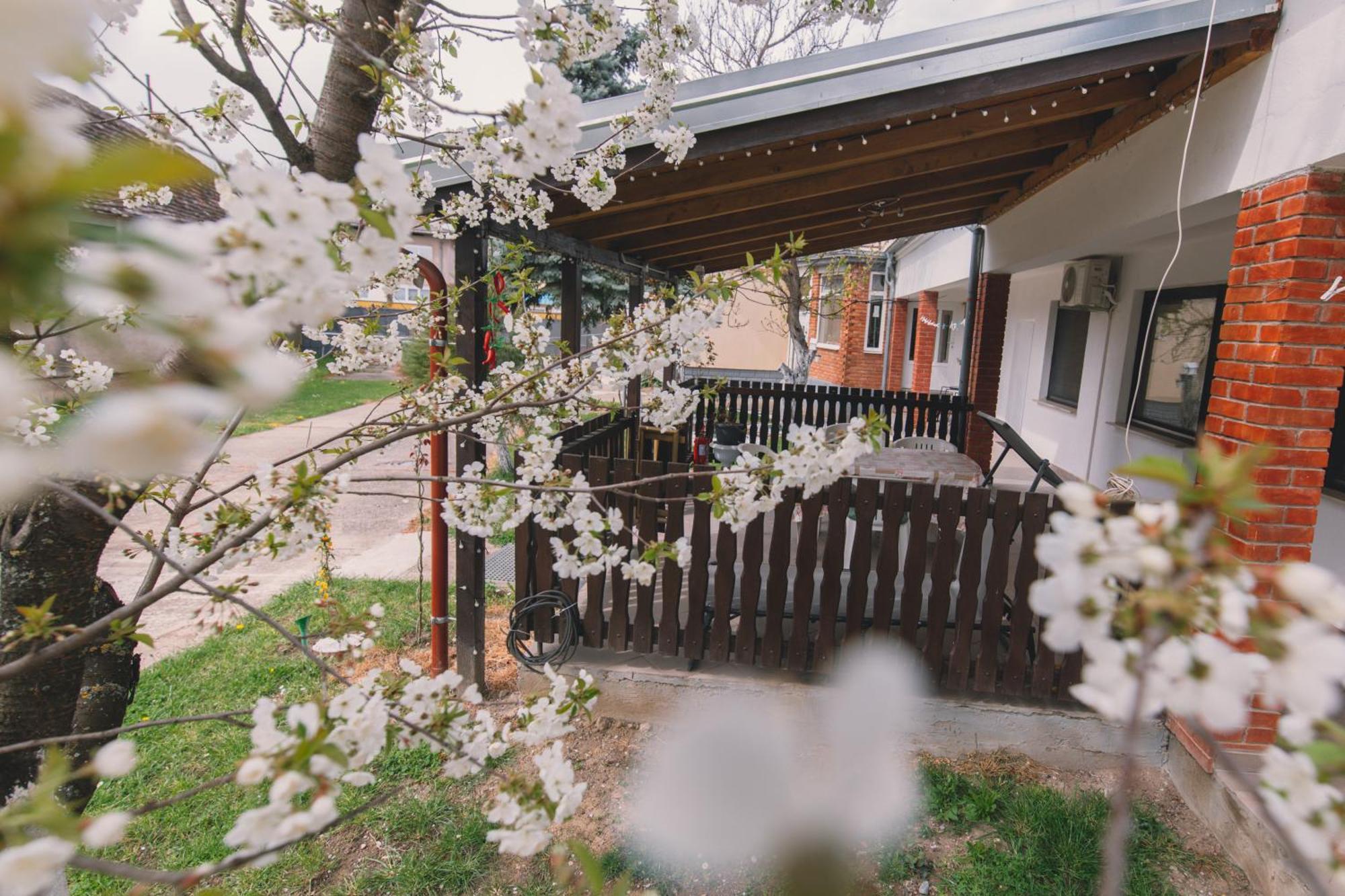 Apartman Marta I Soba Maja Gradiste 외부 사진