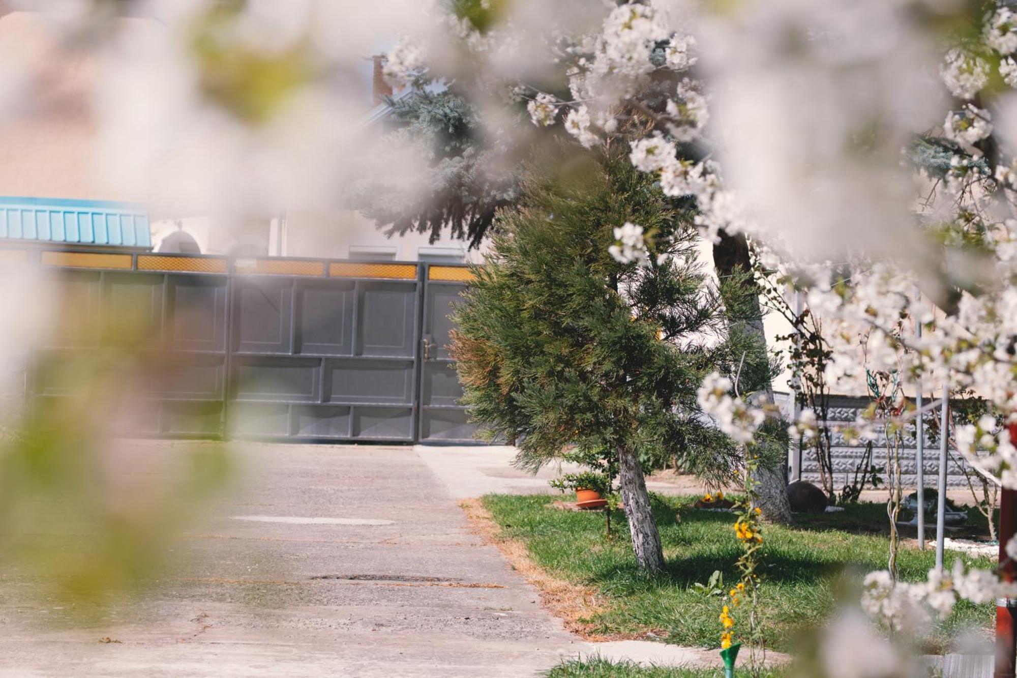 Apartman Marta I Soba Maja Gradiste 외부 사진