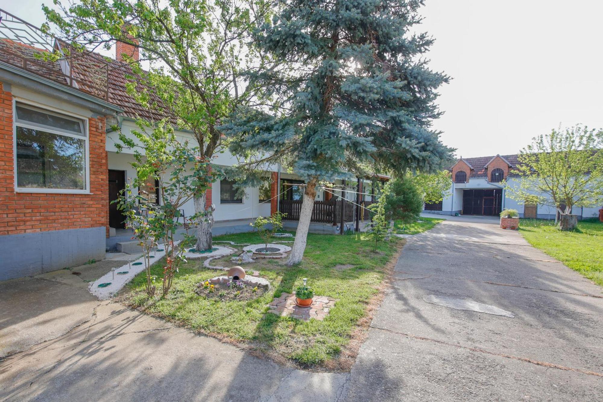 Apartman Marta I Soba Maja Gradiste 외부 사진
