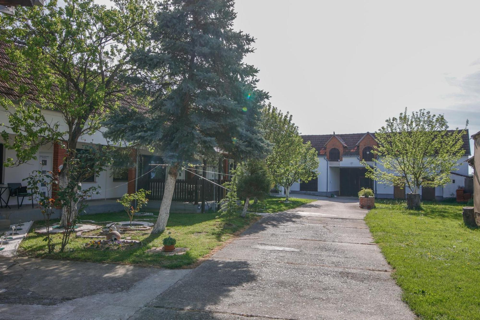 Apartman Marta I Soba Maja Gradiste 외부 사진